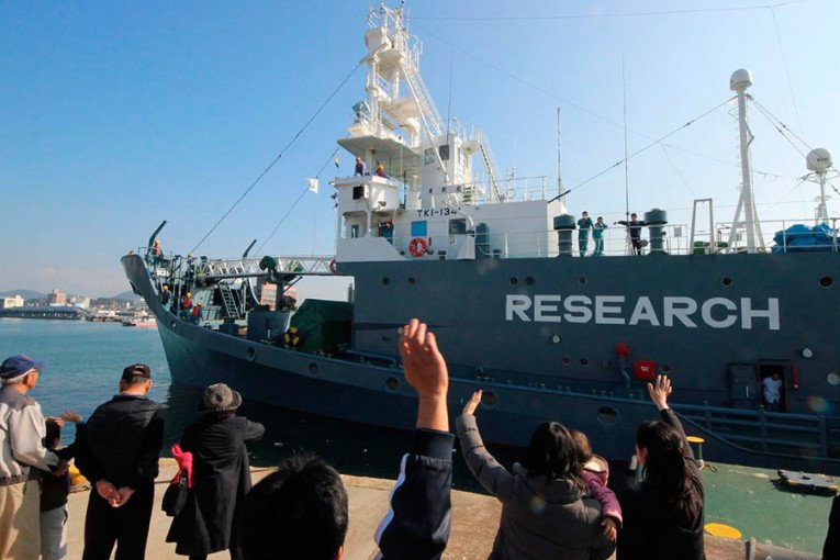 Japão retoma pesca de baleias na Antática