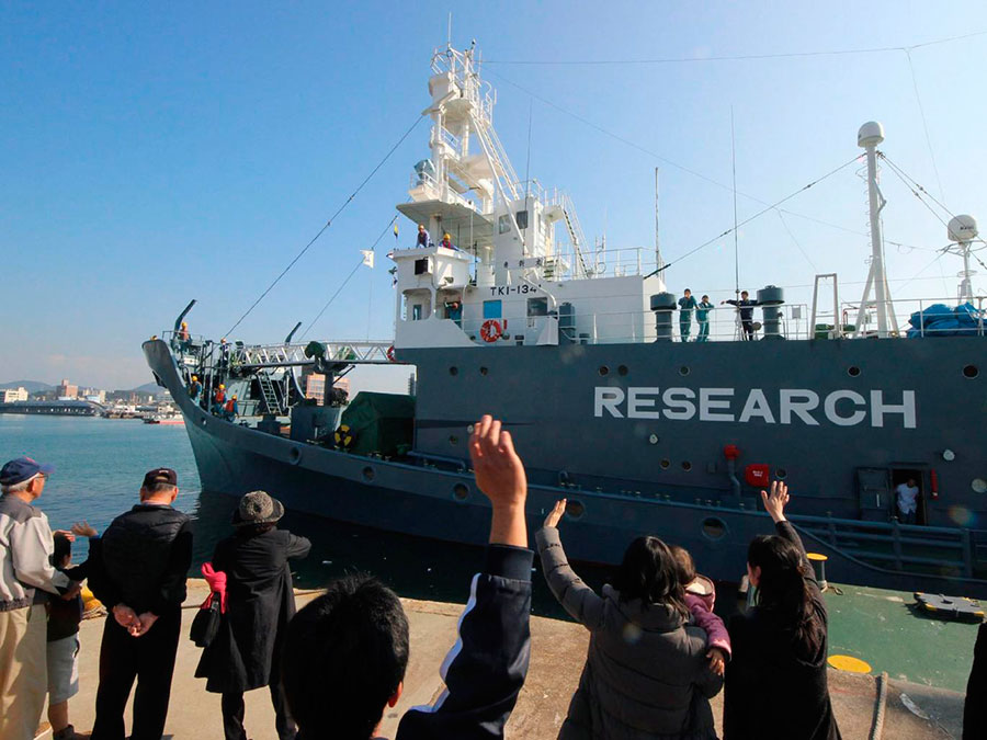 Japão retoma pesca de baleias na Antática