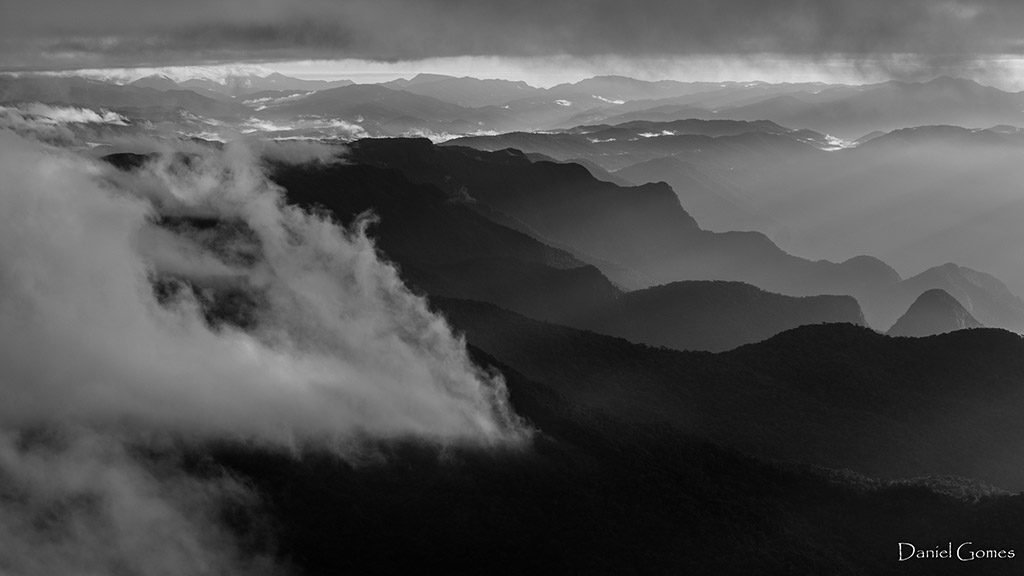 Daniel da Costa Gomes 3