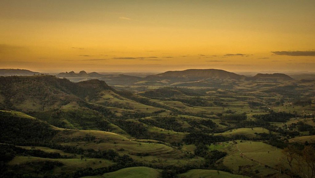 José Alberto Conte Junior