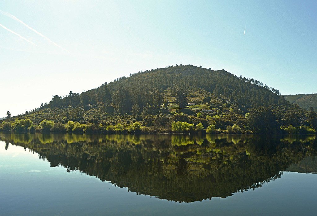 Lina Isabel Barreira Cruz