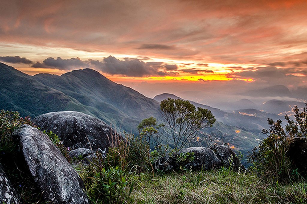 Roberto Bessa Fonseca