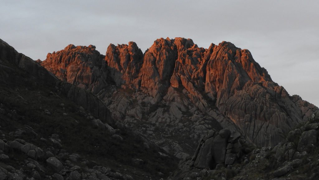 Carlos Eduardo Zikan3