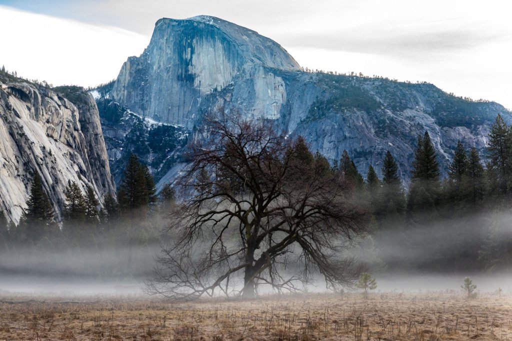 Yosemite Half Dome, fotografia de João Carlos Barbosa vencedora da IV edição do Desafio Expedição na Montanha