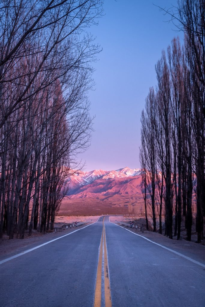 Hugo Chinaglia dos Santos4