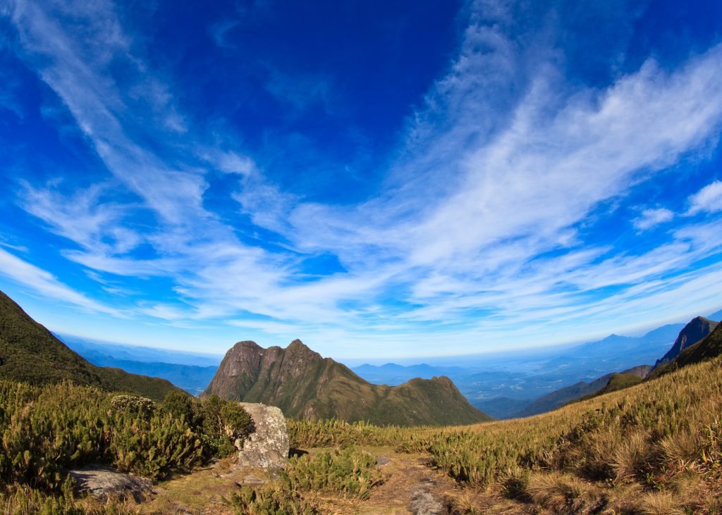 Rosane Fatima Pikussa4