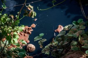 Riacho Tué em Ribeira do Pombal -BA pede socorro.
