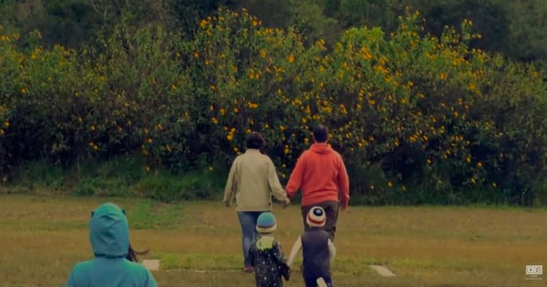 Vivemos no Automático ou com Propósito