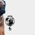 Pug vira mascote e revela algo surpreendente na literatura