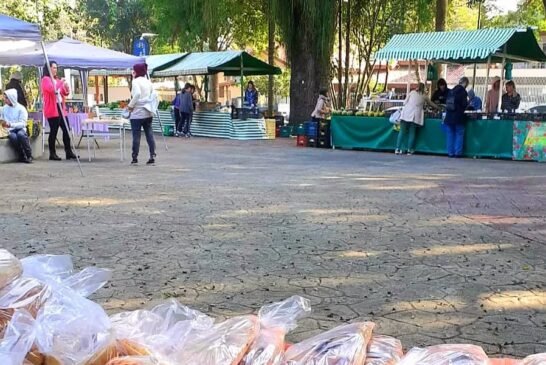 Bora pra mais umaChega juntim, até o meio dia muita coisa boa por aqui, vem pra praça! #feiraor