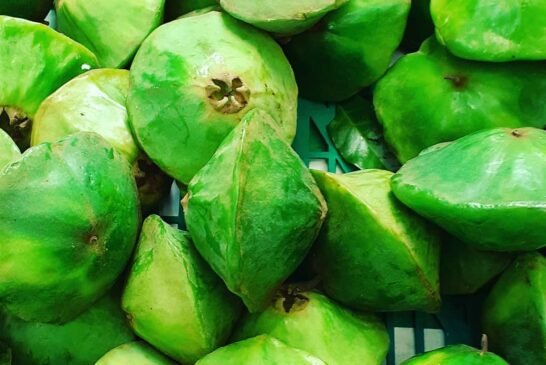 🛸 Cambuci da Banca Primavera.