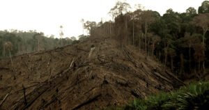 Os mesmos capitais que aquecem o planeta destroem territórios