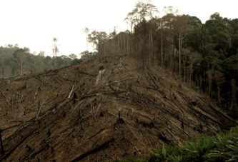 Os mesmos capitais que aquecem o planeta destroem territórios