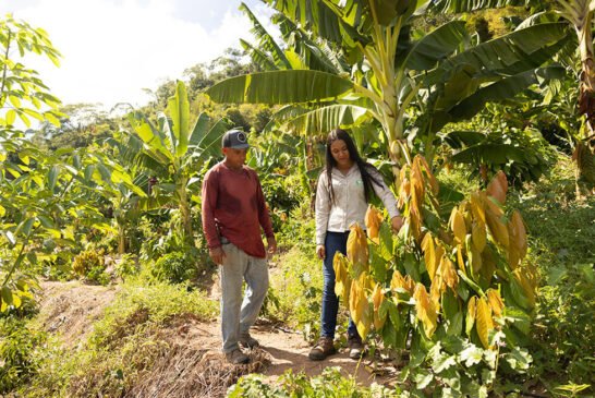 Agrofloresta_Retrato_PedroAvelino_2025_JovanderPito_16