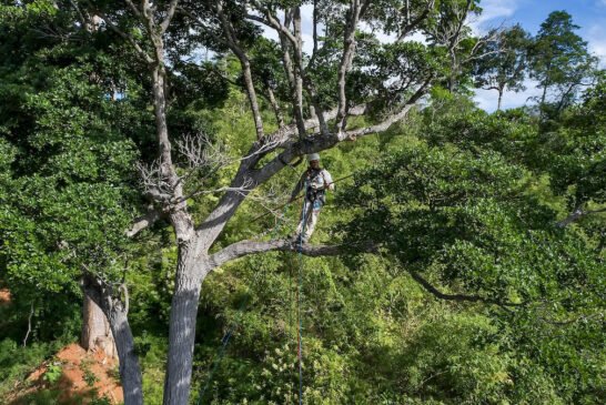 Aimores-2020-LeonardoMercon