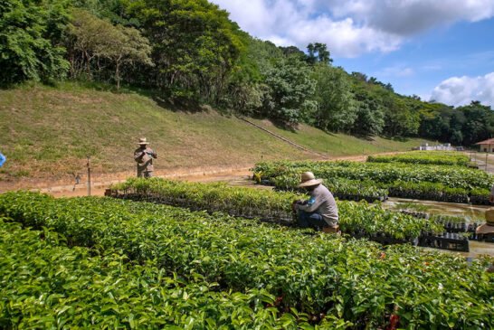 Aimores_2020-LeonardoMercon