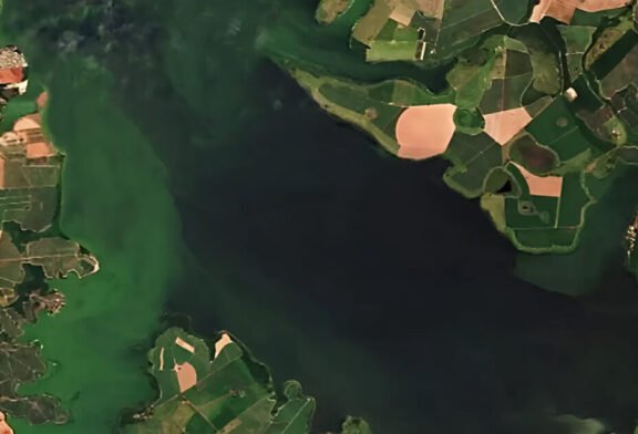 Mancha verde se espalha por 105 quilômetros do Rio Tietê