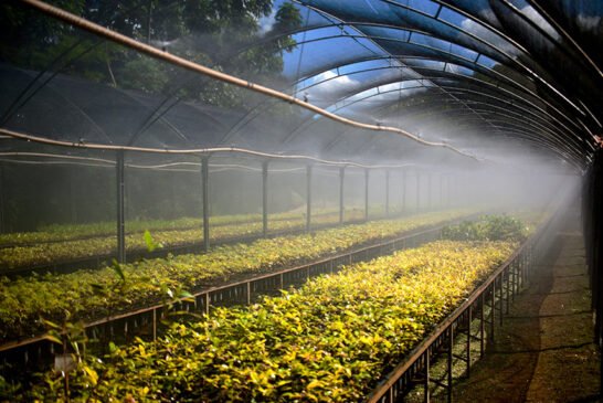 InstitutoTerra-EXP03_Leonardo-Mercon