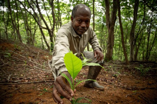 InstitutoTerra-LucasBarcelos