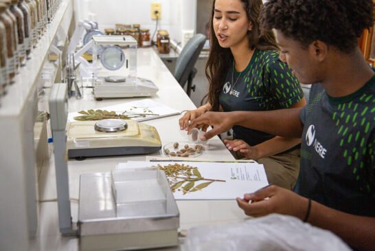 NERE25-405_Lucas-Barcelos