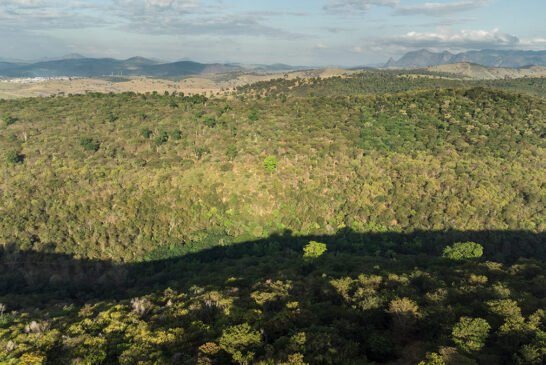 Rppn-Drone-2022-CassioVasconcellos