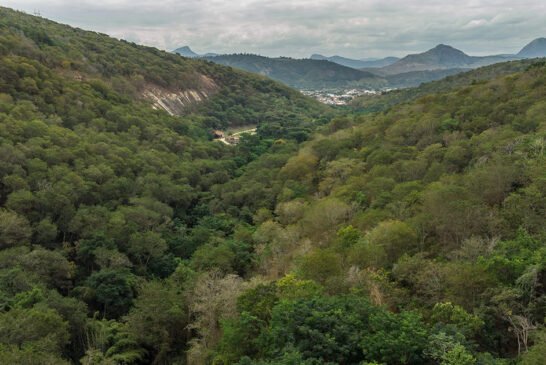 Rppn_Drone-2022-CassioVasconcellos