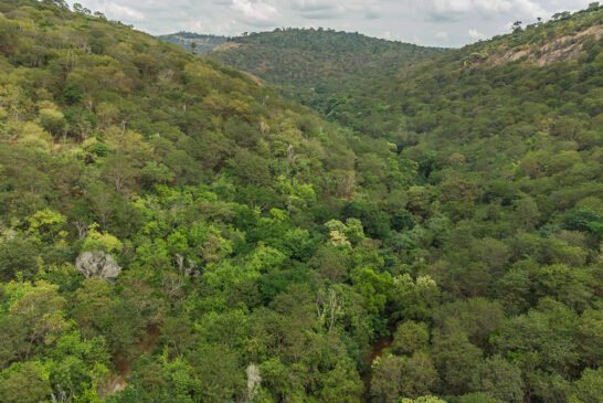 Rppn_Drone-2022_CassioVasconcellos