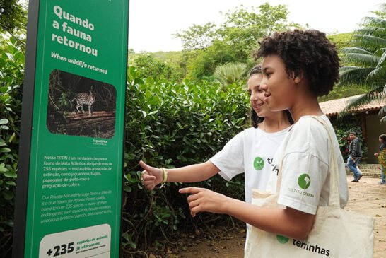 basesolida_Thiago-Amorim