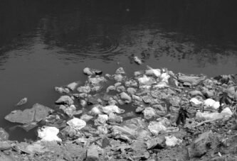 33 milhões sem água potável em um país de rios gigantes