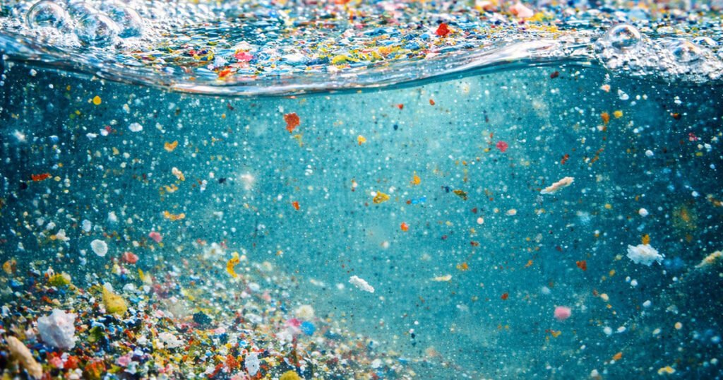 Plástico na água: o que a ciência já comprovou sobre os microplásticos dentro do seu corpo