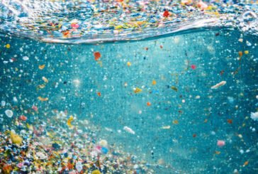 Plástico na água: o que a ciência já comprovou sobre os microplásticos dentro do seu corpo