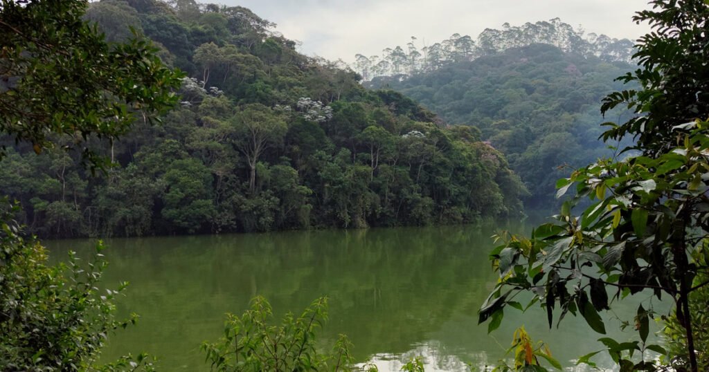 Billings completa 101 anos sob alerta ambiental e ação de limpeza no Grande ABC
