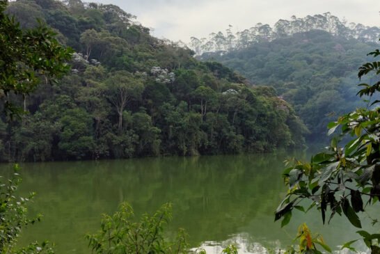 Billings completa 101 anos sob alerta ambiental e ação de limpeza no Grande ABC