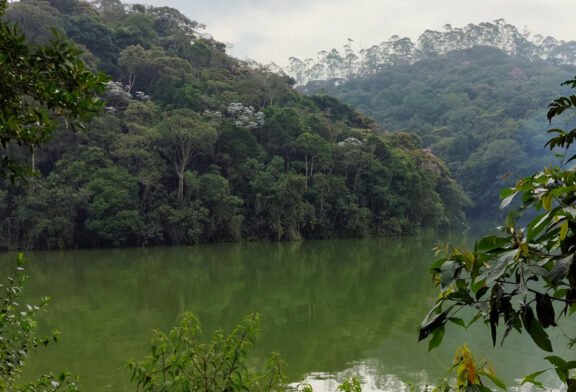 Billings completa 101 anos sob alerta ambiental e ação de limpeza no Grande ABC