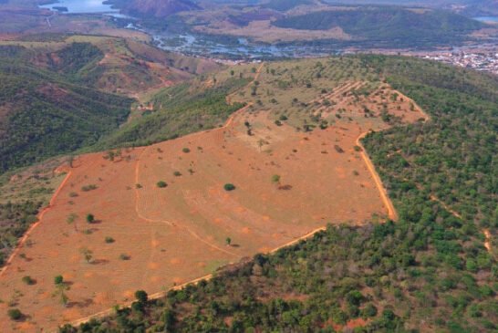 reconstrucao-sistemica-terra-instituto