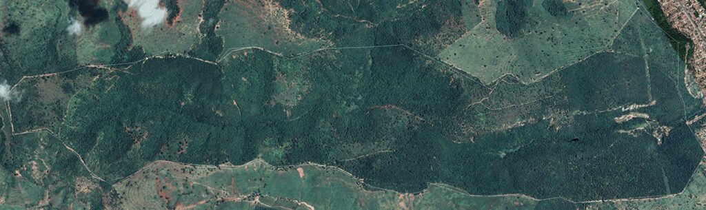 Instituto Terra - Imagem Satélite 2018