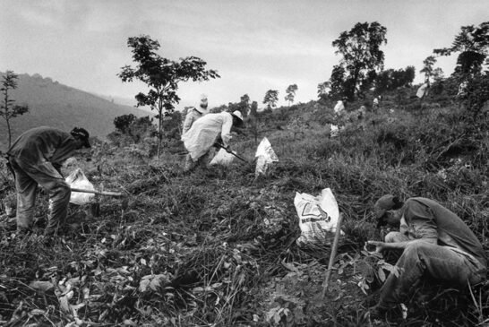 ssalgado-foto-aimores-4