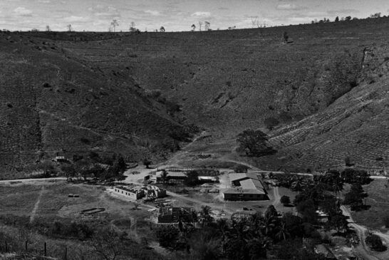 ssalgado-foto-aimores2