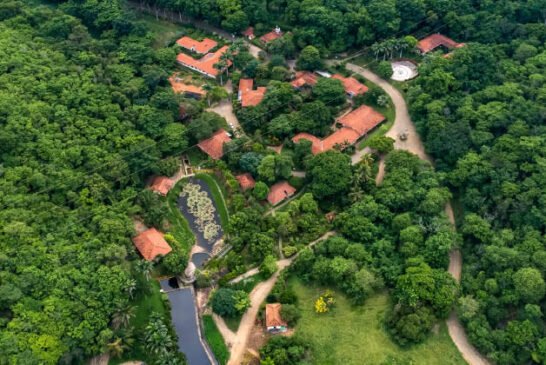 terra-instituto-drone1 (1)