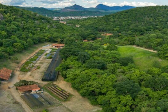 terra-instituto-drone2 (1)