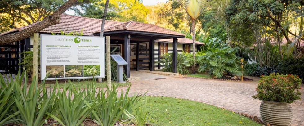 Governança Instituto Terra