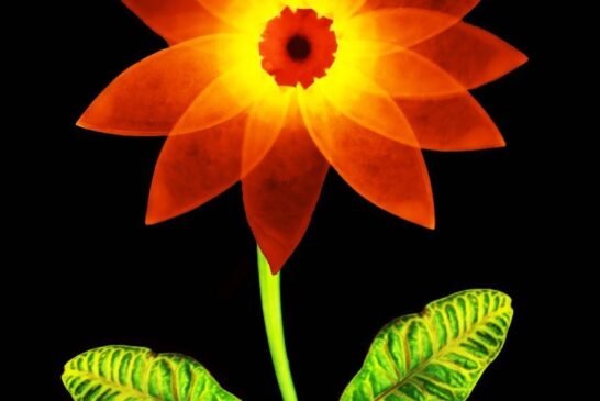 Luz em forma de flor, enxerto de luz no vegetal. Material usado- pétala de acrílico fosca ilumin