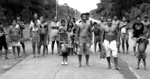 BR-319 reacende alerta sobre zoonoses e saúde pública na Amazônia