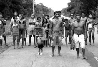 BR-319 reacende alerta sobre zoonoses e saúde pública na Amazônia