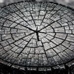 O desmatamento muda de fronteira: Cerrado supera Amazônia em 2026