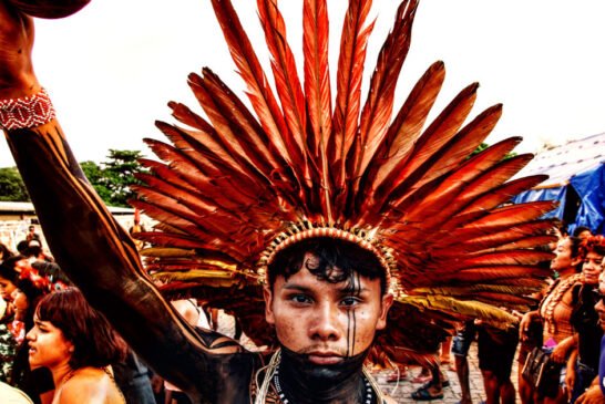 Brasil Indígena