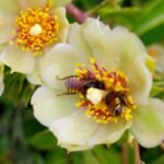 A delicada engenharia que sustenta a vida