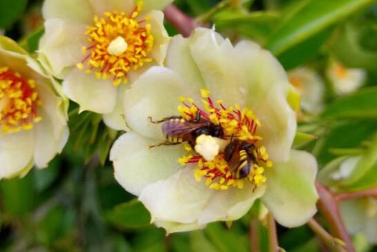 A delicada engenharia que sustenta a vida