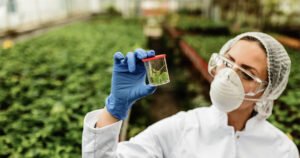Edição gênica no agro: pureza do DNA e RNA é fundamental para tecnologia CRISPR